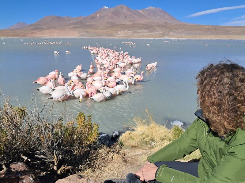 Laguna Hedionda Bolivia