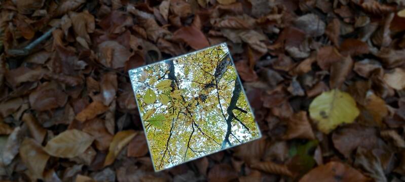 spiegeloefening herfst