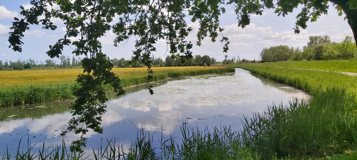 Hollandse Biesbosch Dordrecht