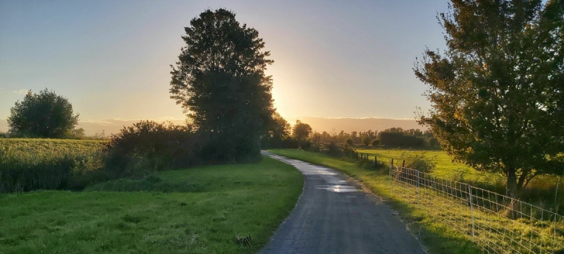 Hollandse Biesbosch Dordrecht