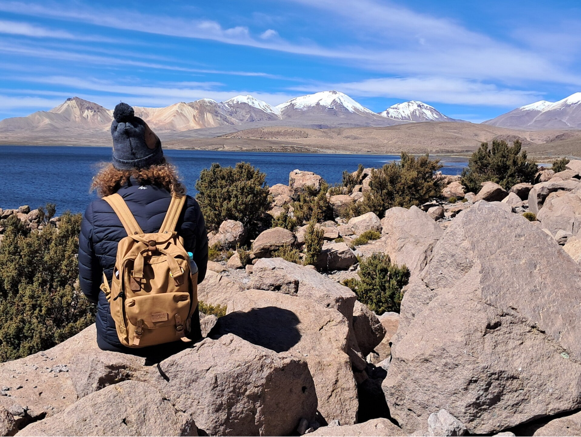 Lauca NP Chungara lake Chile