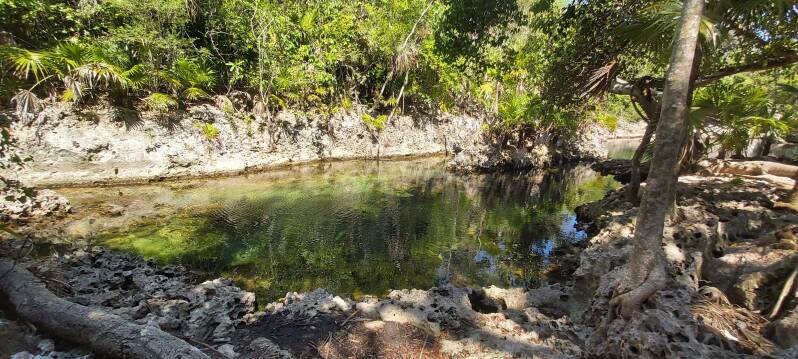 Cuba cueva los peces cenote varkensbaai