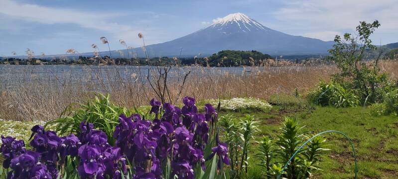 Mount Fuji Japan