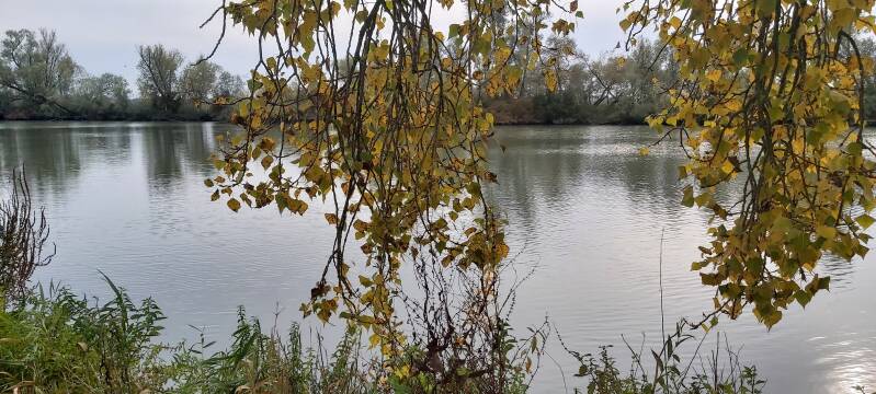Hollandse Biesbosch Dordrecht