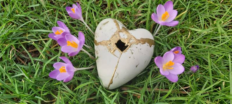 Kintsugihart in veld met krokussen