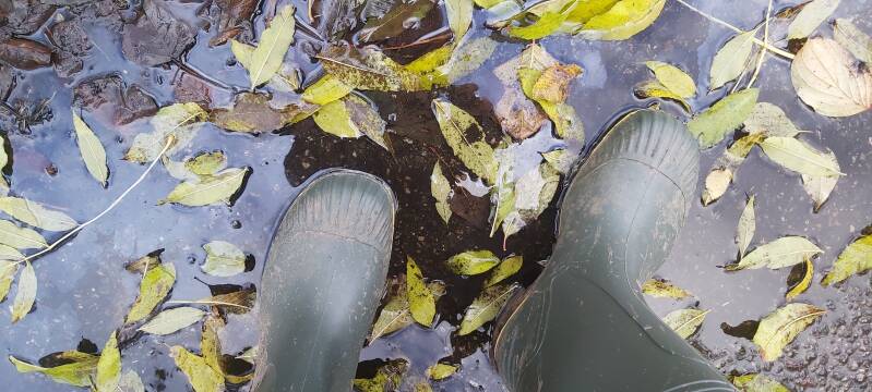regenlaarzen Hollandse Biesbosch