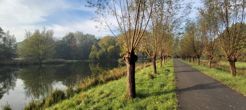 Hollandse Biesbosch Dordrecht