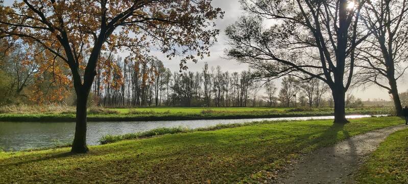 Hollandse Biesbosch Dordrecht