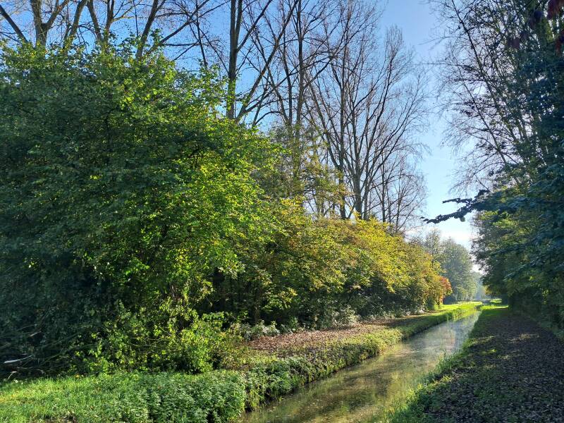 Hollandse Biesbosch Dordrecht