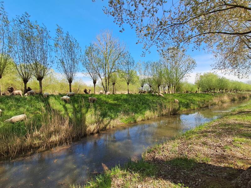 Hollandse Biesbosch Dordrecht