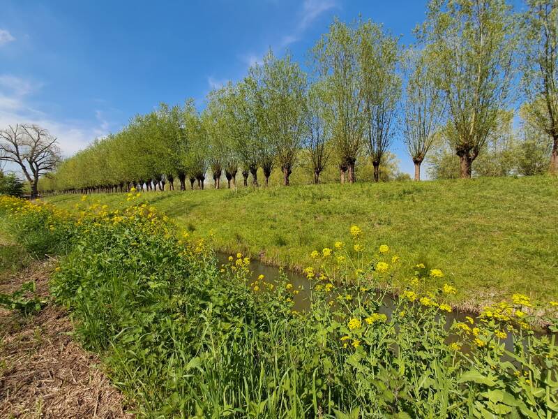 Hollandse Biesbosch Dordrecht