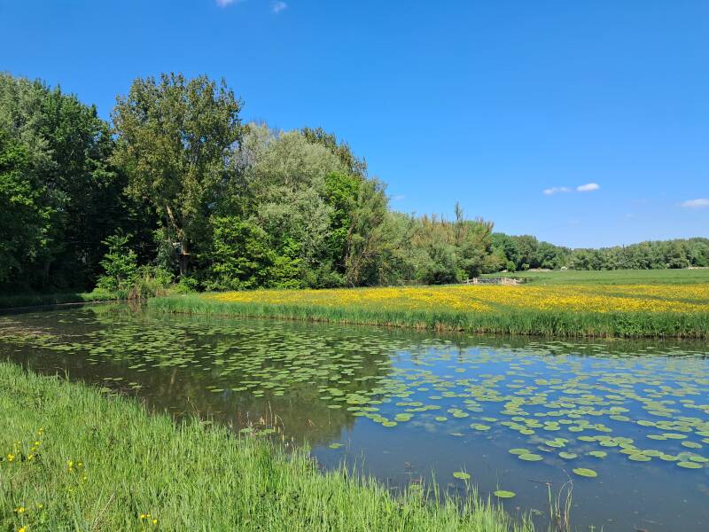 Hollandse Biesbosch Dordrecht