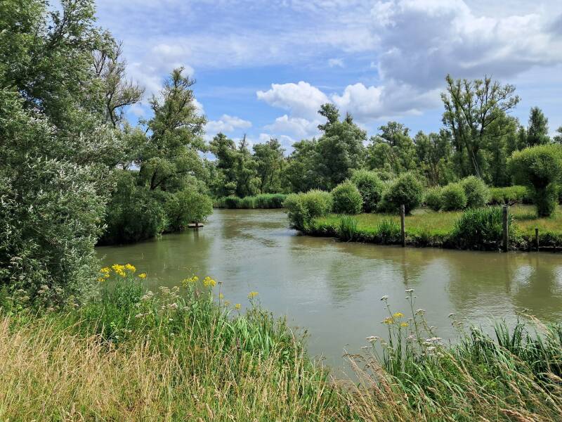 Hollandse Biesbosch Dordrecht