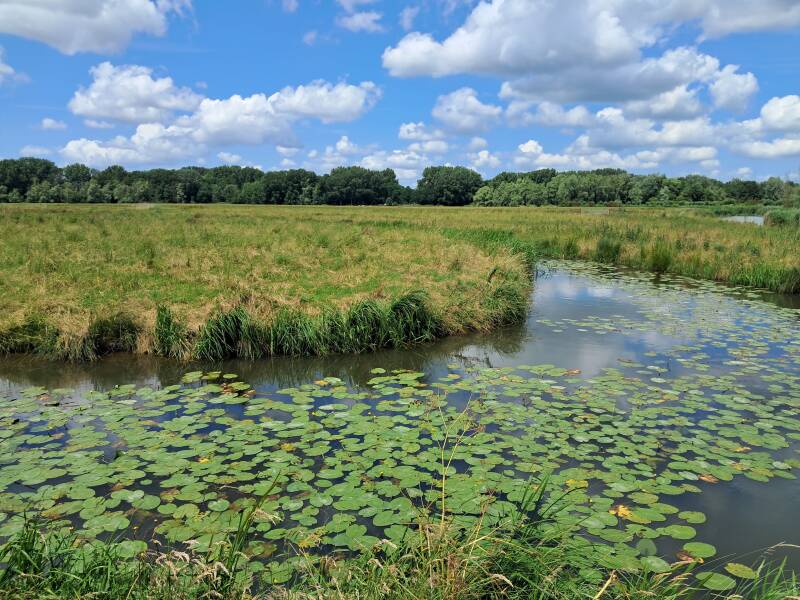 Hollandse Biesbosch Dordrecht