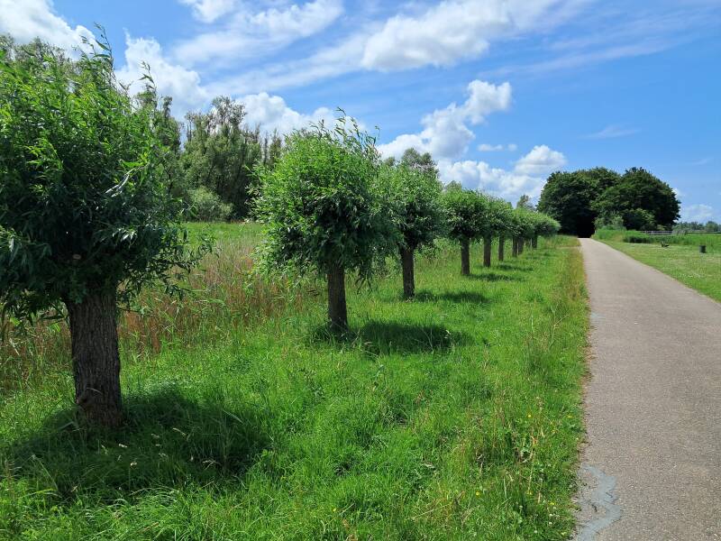 Hollandse Biesbosch Dordrecht