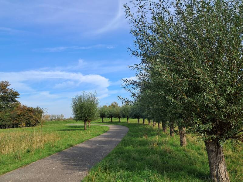 Hollandse Biesbosch Dordrecht