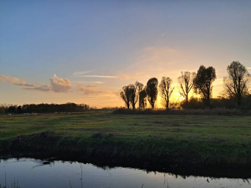zonsondergang Hollandse Biesbosch Dordrecht