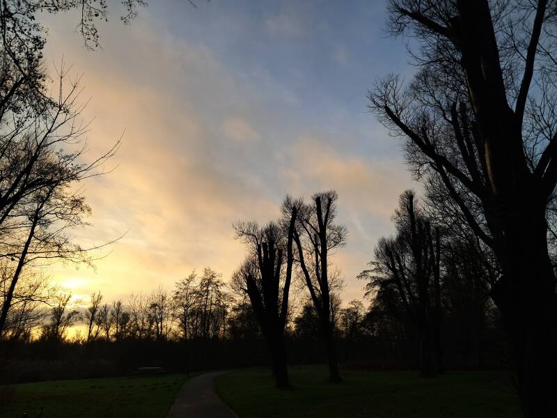 Hollandse Biesbosch Dordrecht