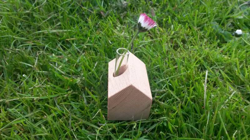 tinyhouse met madeliefje