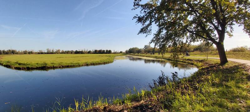 Hollandse Biesbosch Dordrecht