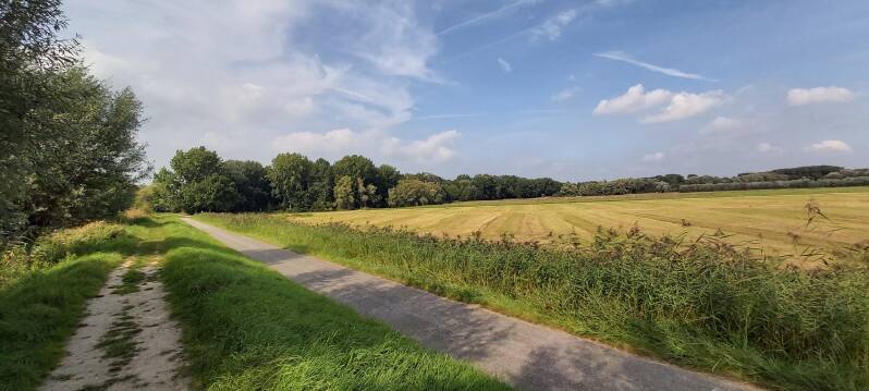 Hollandse Biesbosch Dordrecht
