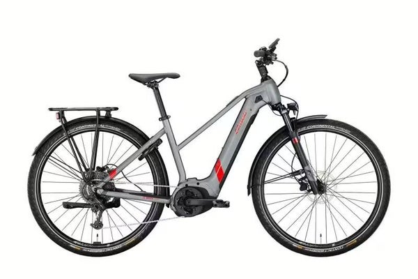 Bosch Performance smart systeem 625 Wh