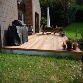 p1020232-standard.jpg