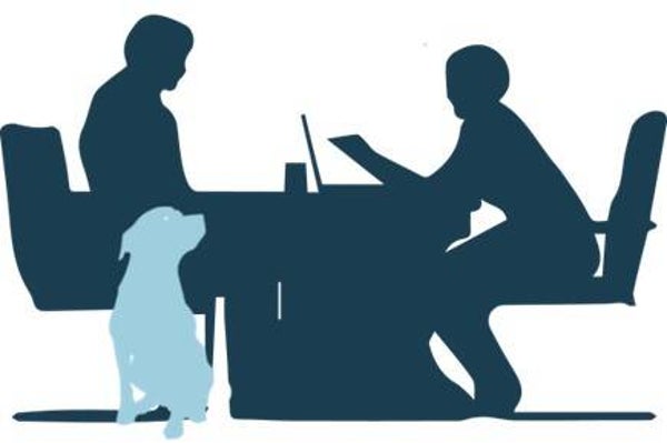 ANALYSE CONSEIL EN VISIO-CONFERENCE OU TELEPHONE 1 Heure