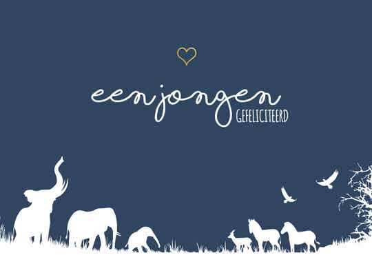 Jungle olifant - jongen