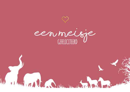 Jungle olifant - meisje