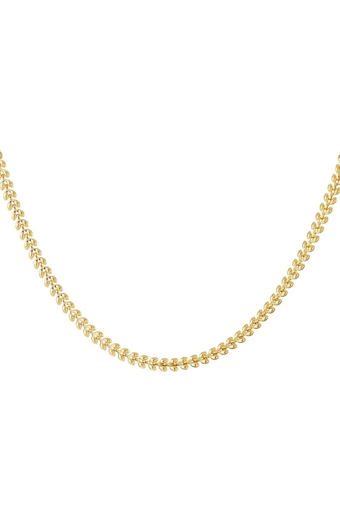 Ketting blaadjes Goud Stainless Steel