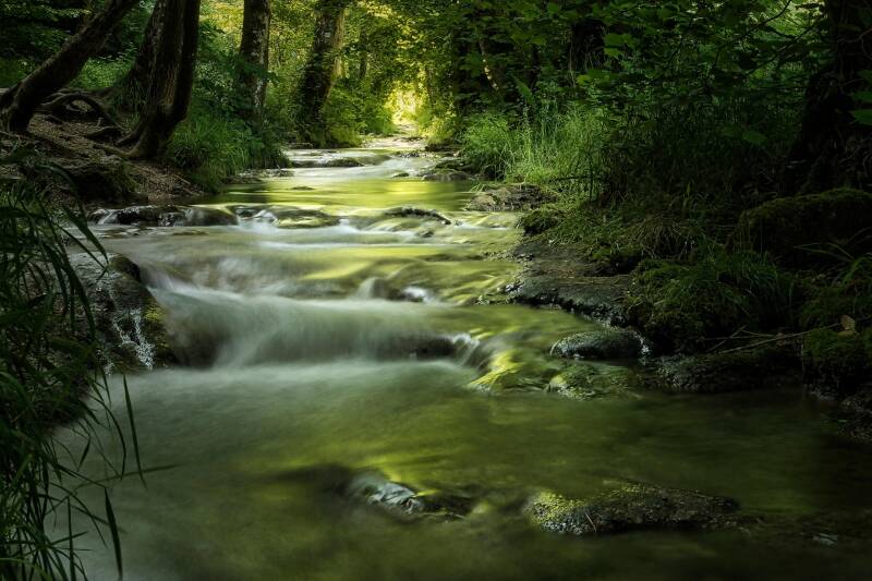 Image par Nordseher de Pixabay