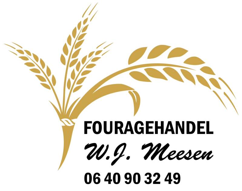 logo-wj-meesen-standard-oba7li.jpg