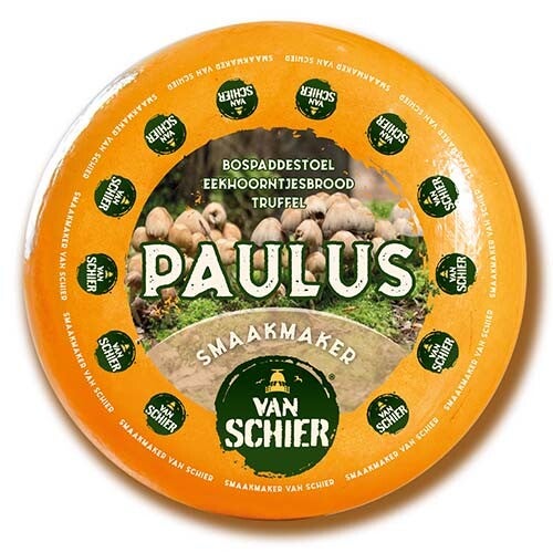 Paulus van Schier
