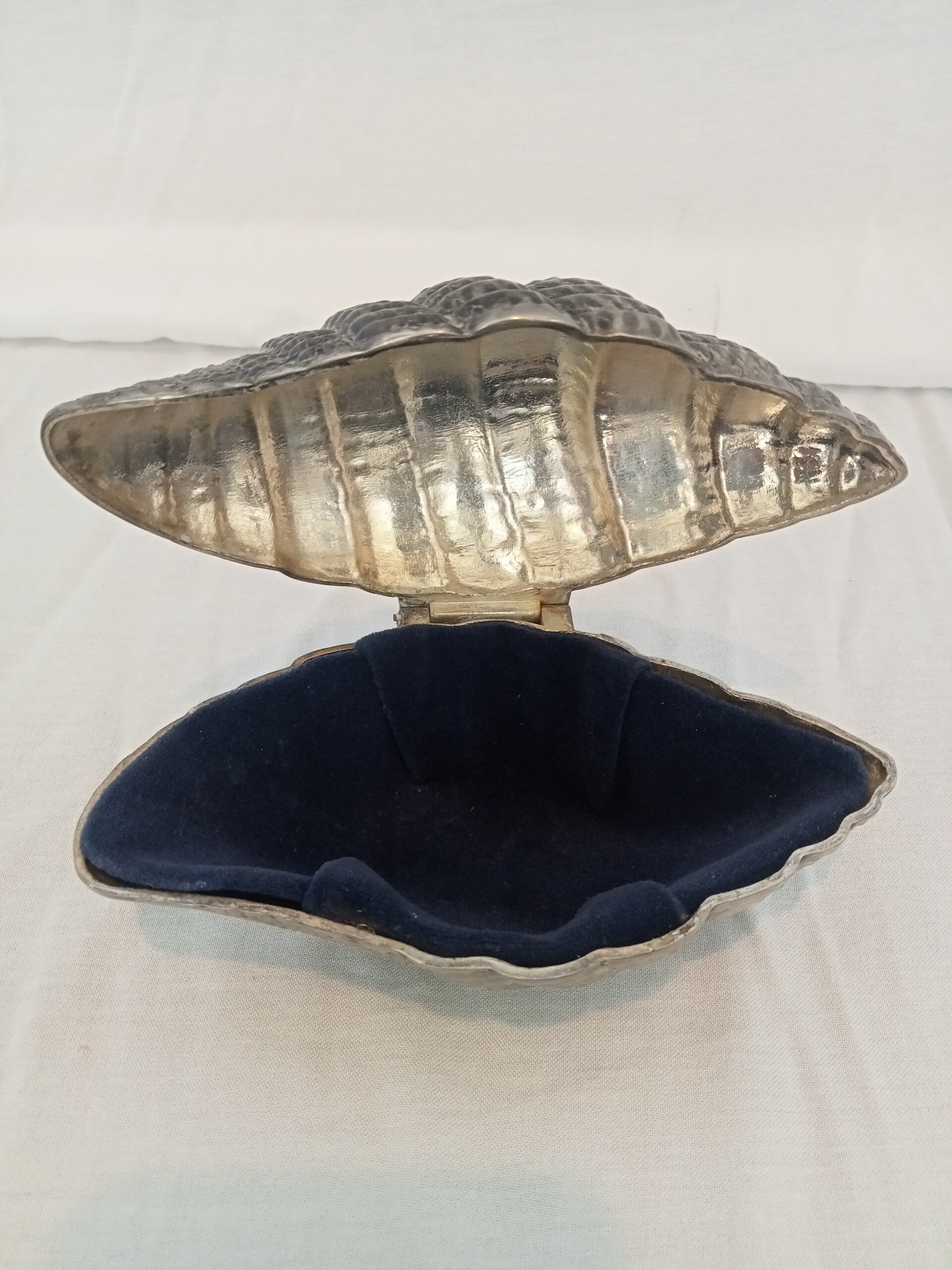 Decorative shell