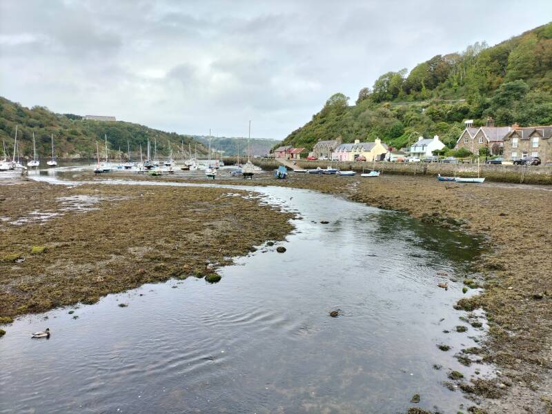 Fishguard wales35.nl
