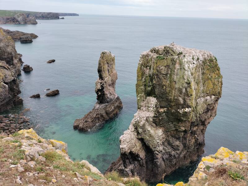 Elegug sea stacks wales35.nl