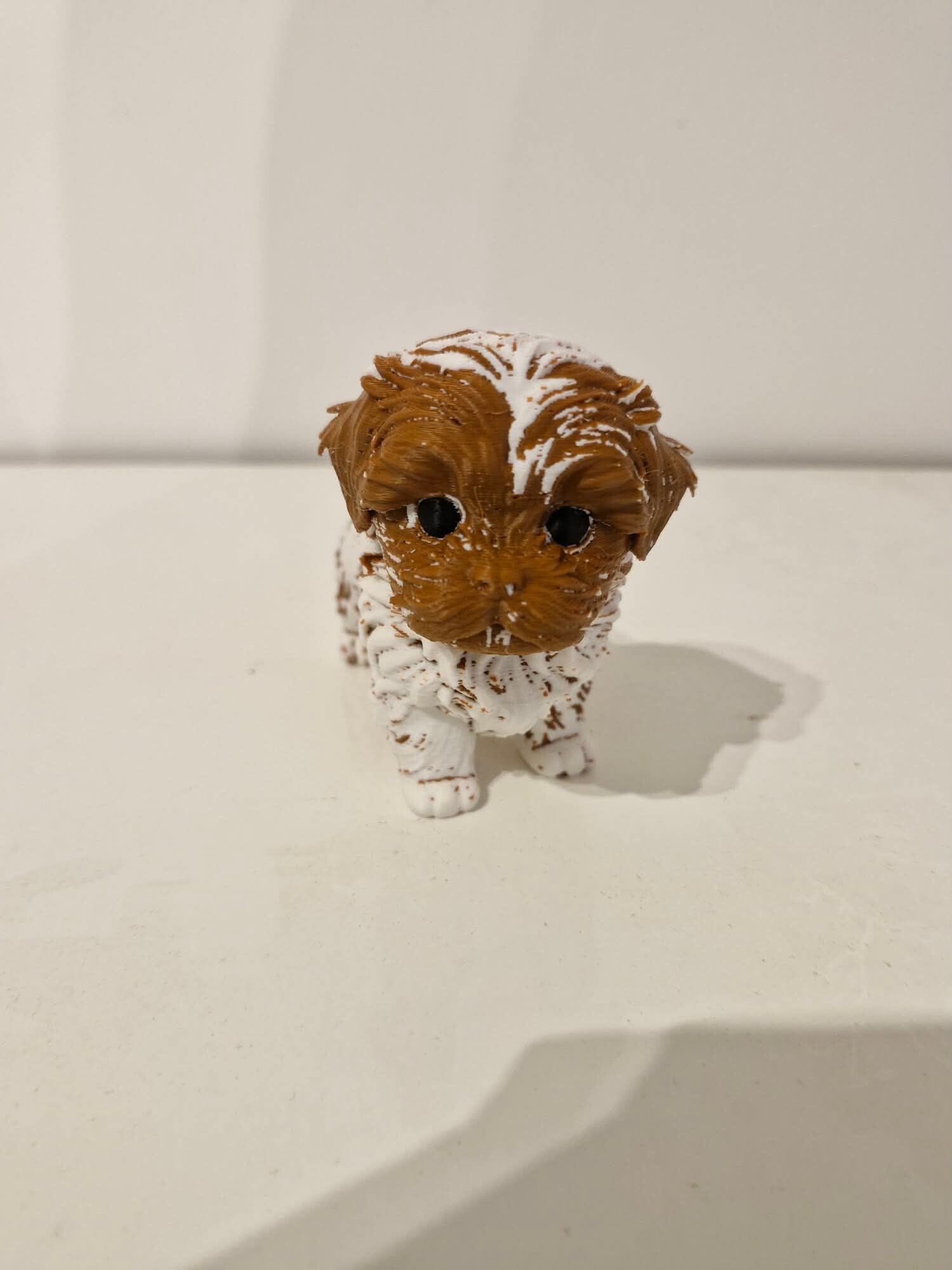 Petit chien