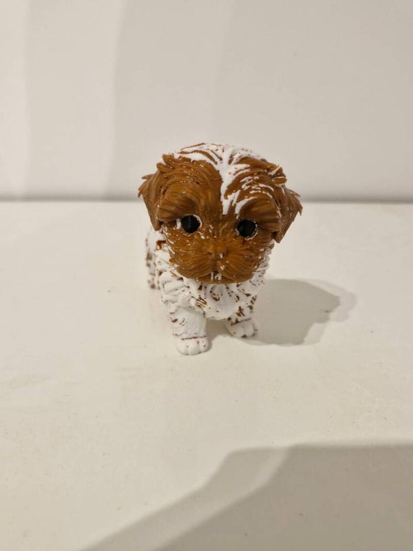 Petit chien