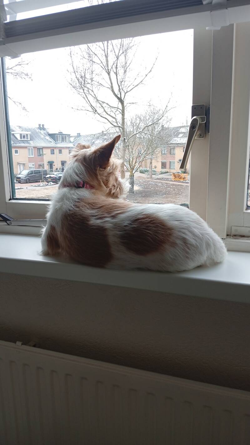 1000030823-standard.jpg