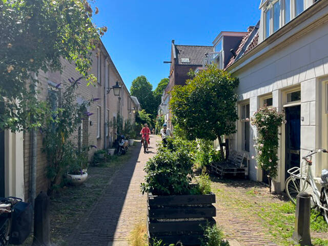 hofje-in-de-buurt-van-nijntje-plein-standard.jpg