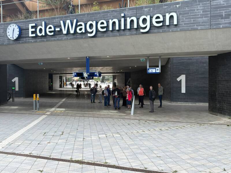 wandelen-0-2-standard.jpg