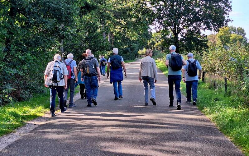 wandelen-1-2-standard.jpg