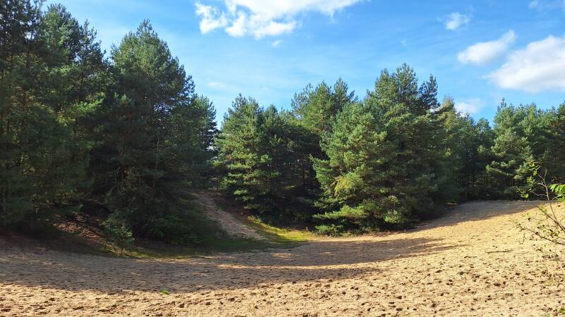 wandelen-1-3-standard.jpg
