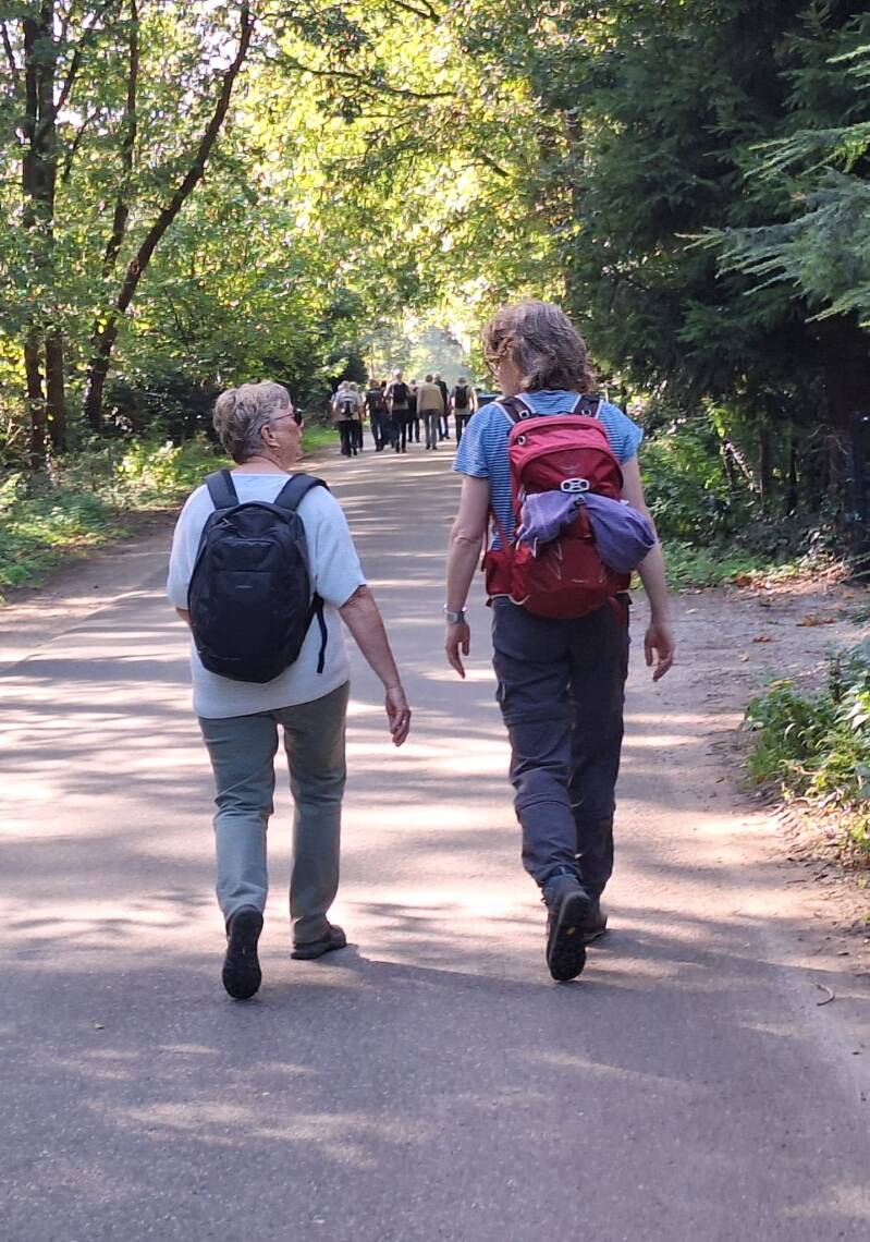 wandelen-1-5-standard.jpg