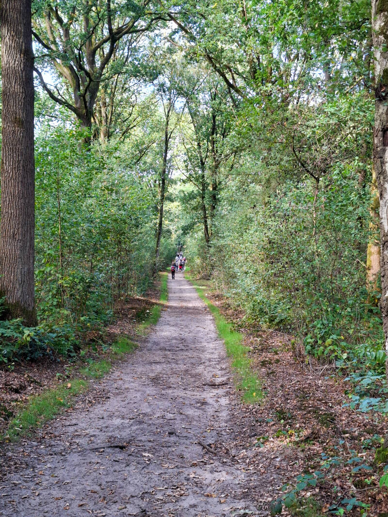 wandelen-3-10-standard.jpg