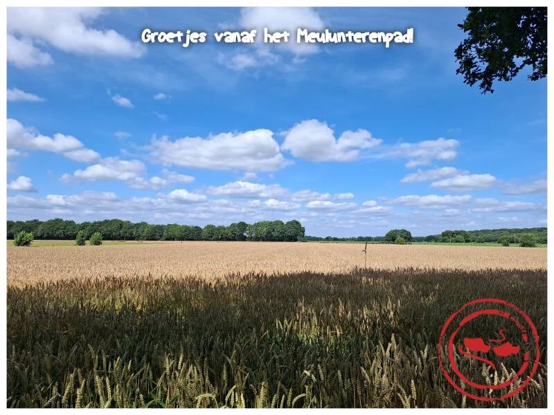 wandelen-3-22-standard.jpg