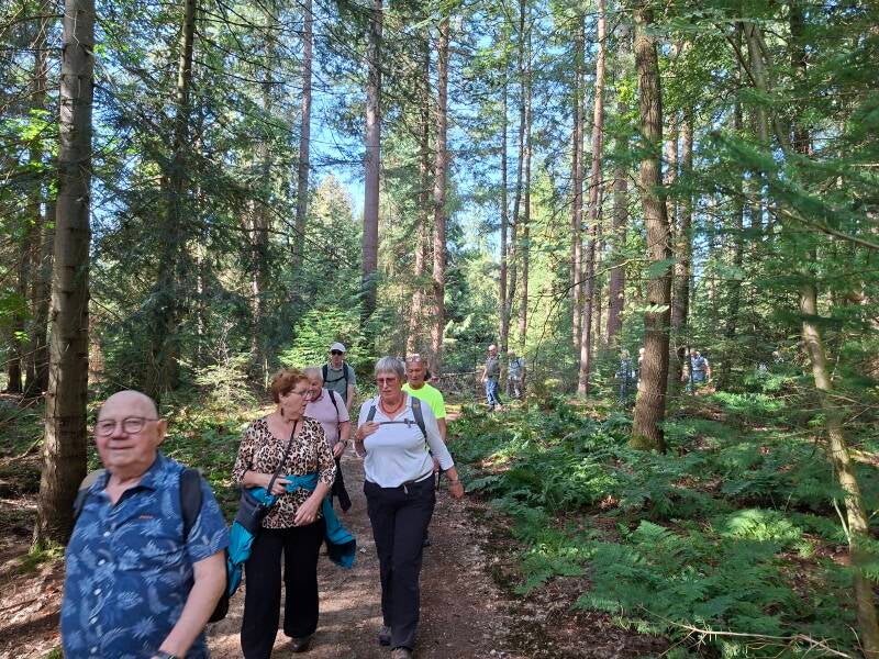 wandelen-4-1-standard.jpg