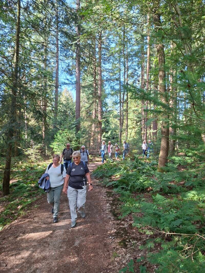 wandelen-4-2-standard.jpg