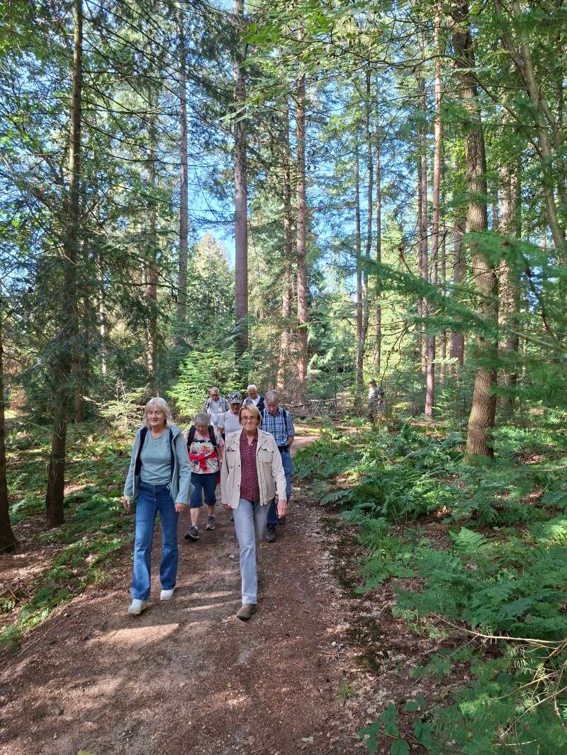 wandelen-4-3-standard-fw9bb1.jpg